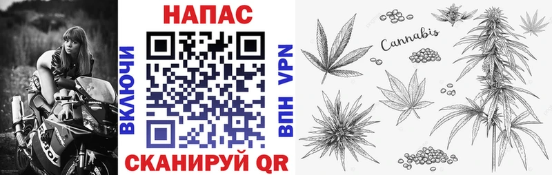 Шишки марихуана Bruce Banner Ярцево